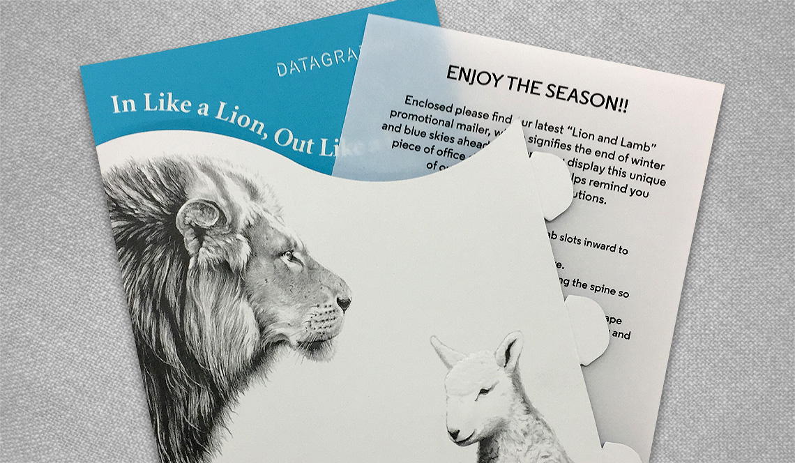 Direct Mail Campaign