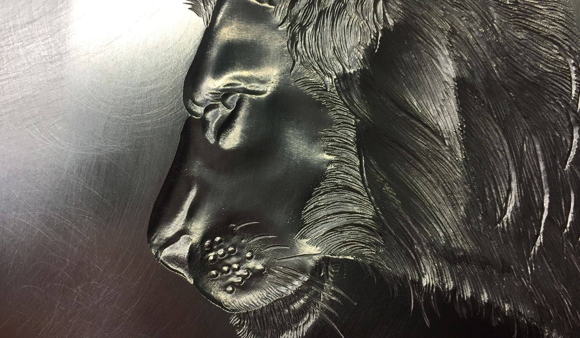 DataGraphic Lion and Lamb Direct Mailer