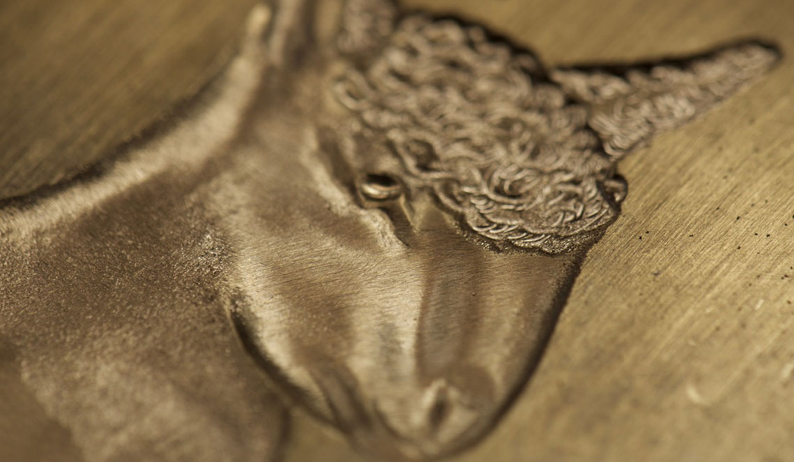 DataGraphic Lion and Lamb Direct Mailer