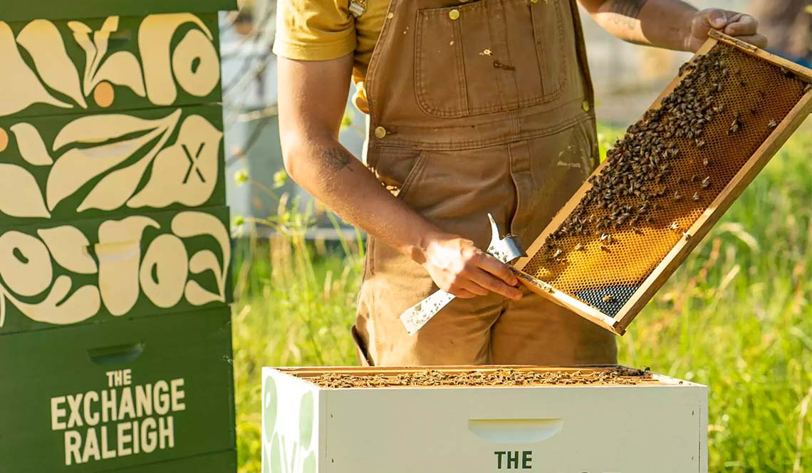 Eco-Friendly Honey Packaging Eco-Friendly Honey Packaging